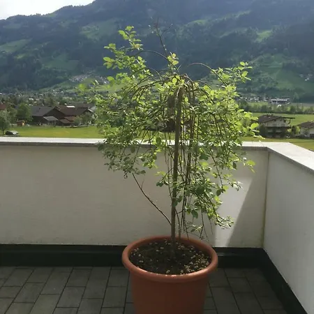 Walder Appartement *