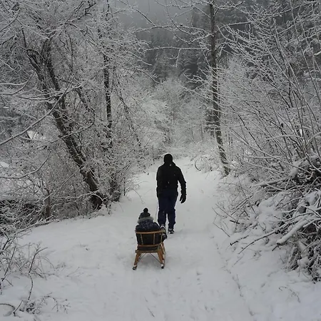 Διαμέρισμα Walder